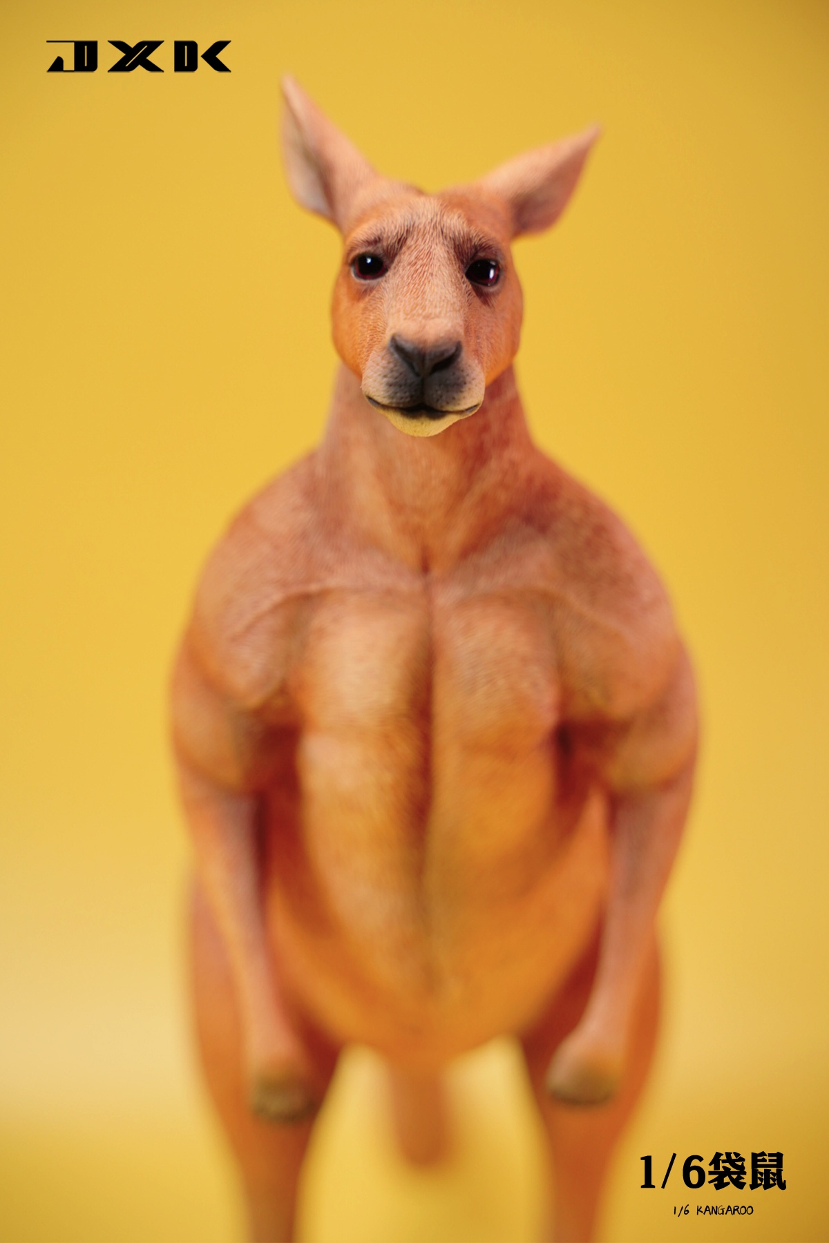 [สั่งจอง]JXK JXK136 1/6 : Kangaroo