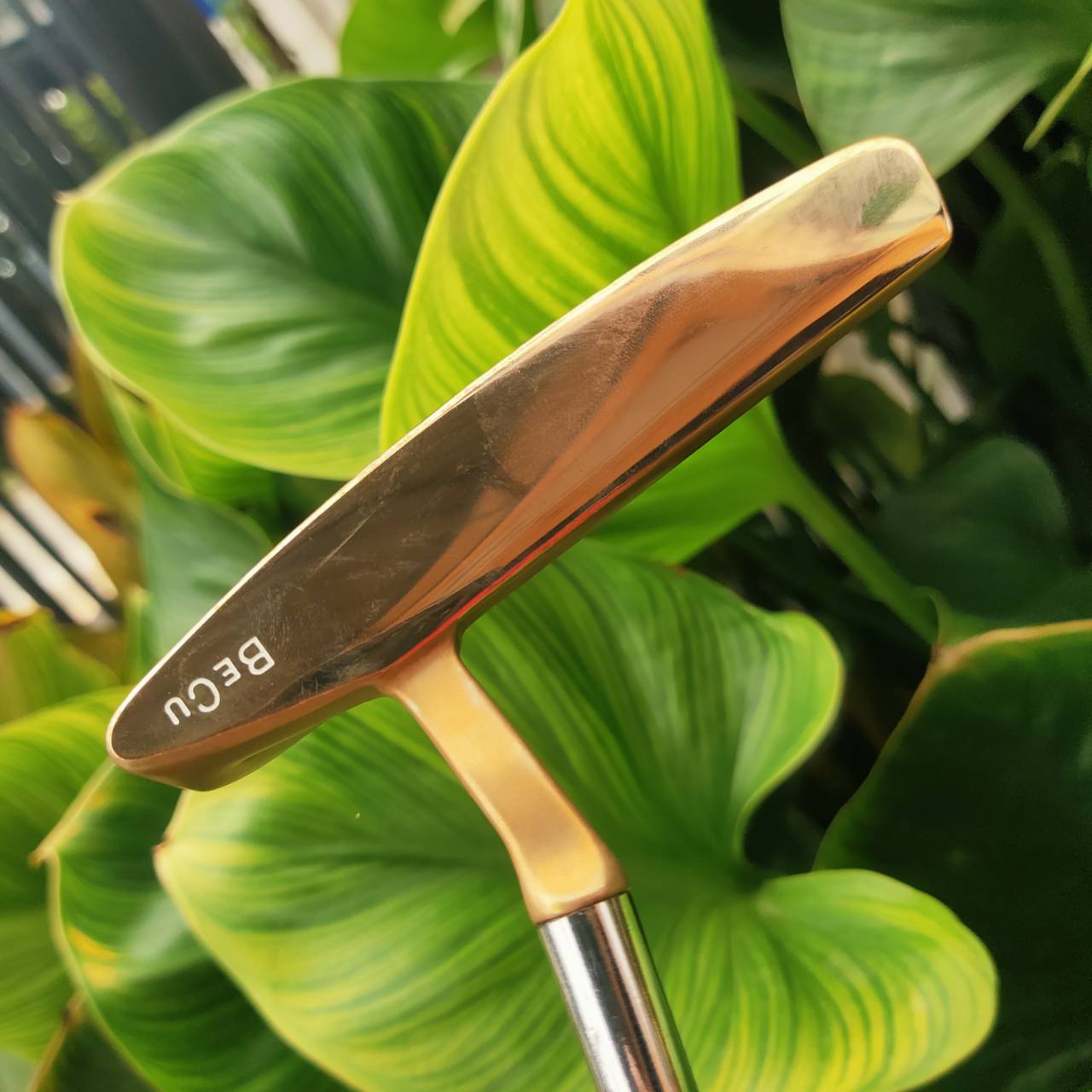 PUTTER PING PAL2 – ทองแดงแท้ BECU (Beryllium Copper)