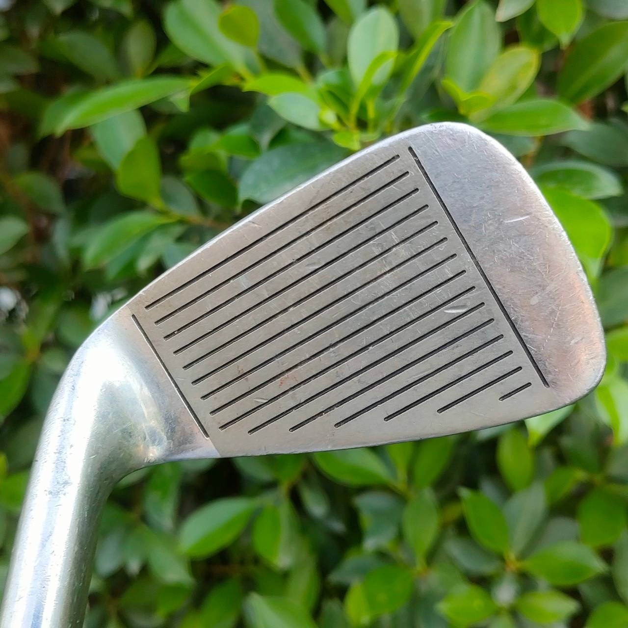 ** ไม้กอล์ฟสำหรับผู้หญิง ** ชุดเหล็ก MARUMAN BINDIA CUP SPSS มีเหล็ก 5-9 เเละ PW SW ก้าน COBALT CARBON FLEX L