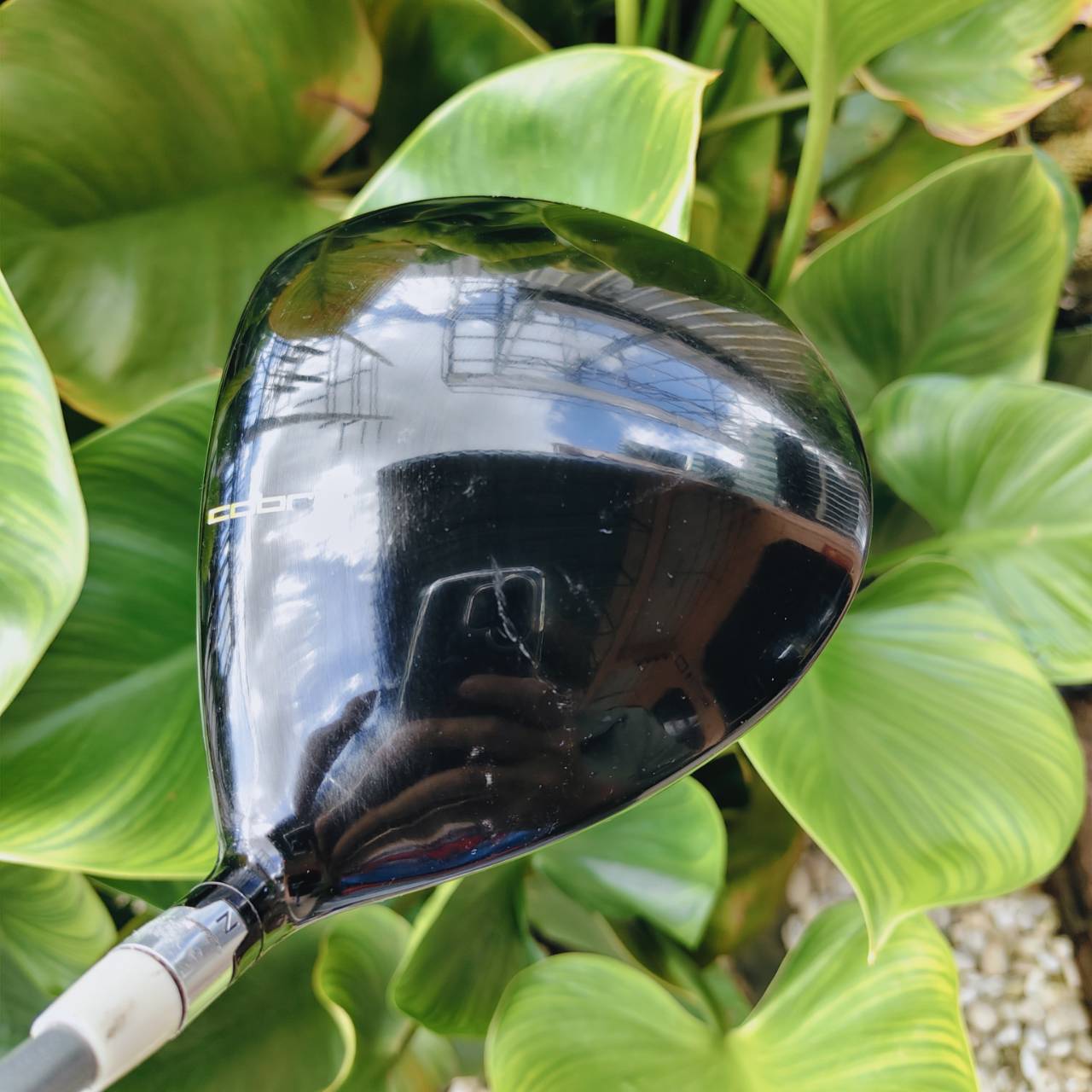 DRIVER NEW ZL ENCORE – โฉบเฉี่ยว ล้ำสมัย และเต็มไปด้วยสีสัน!