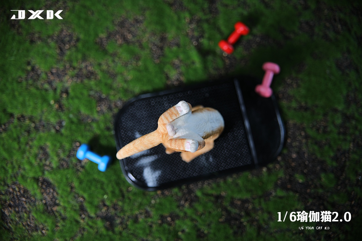 [สั่งจอง]JXK JXK151 1/6 : Yoga Cat 2.0