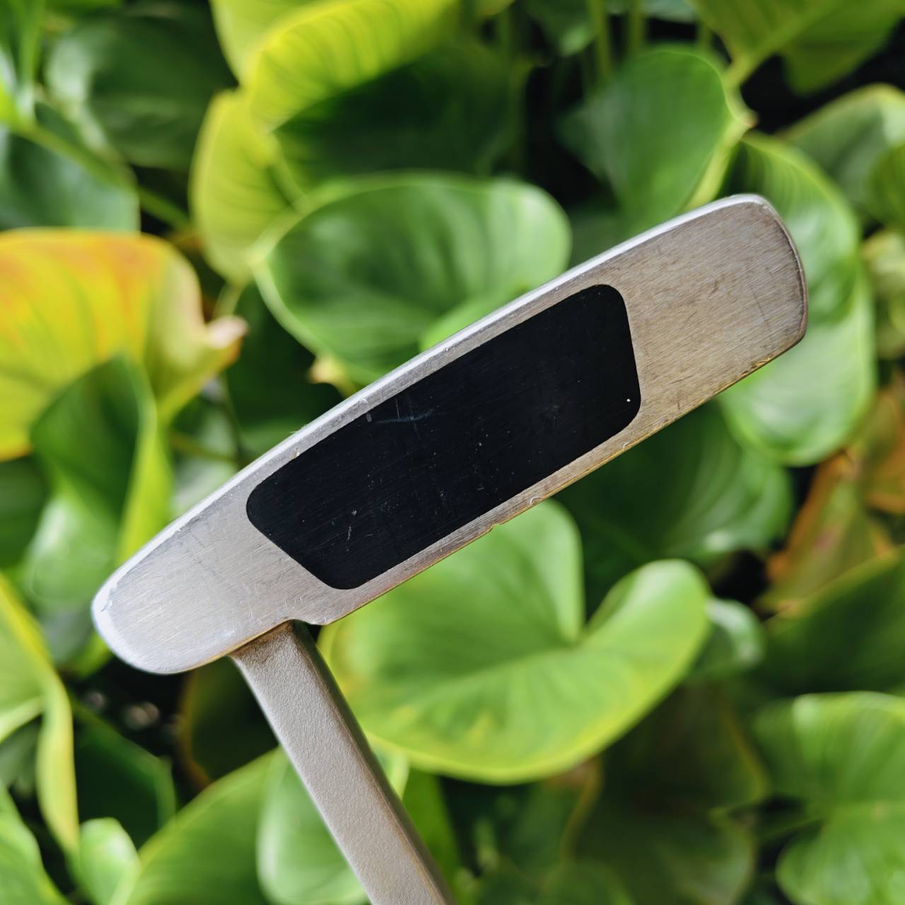 MIZUNO 512 Putter (34”) – Mallet Style Putter ที่ผสมผสานความลงตัวทั้ง การออกแบบและเทคโนโลยี