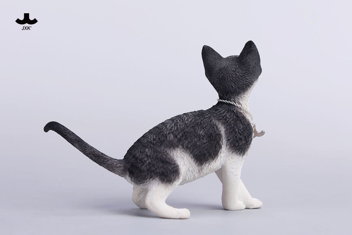 [สั่งจอง]JXK 1/6 : Devon Rex Cat Figurine V4