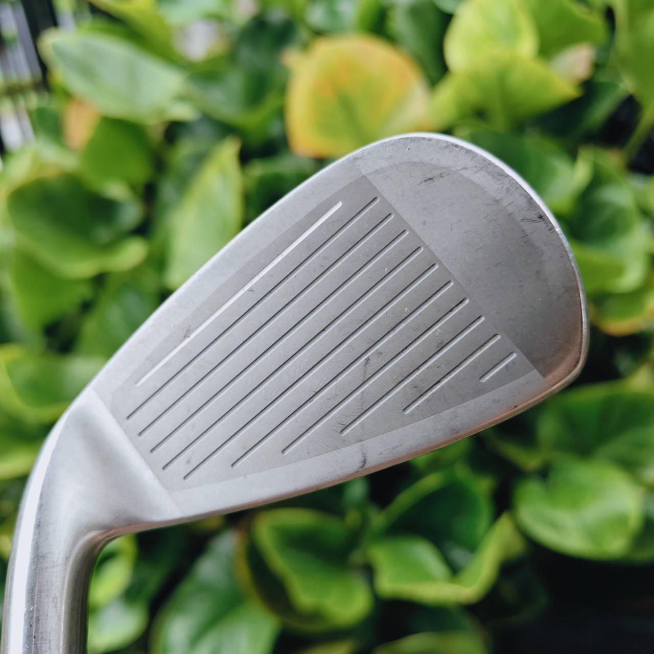 เหล็ก 3 MIZUNO INTAGE – หน้าไม้มีแผ่นเด้ง Titanium + ก้านเดิม Flex R