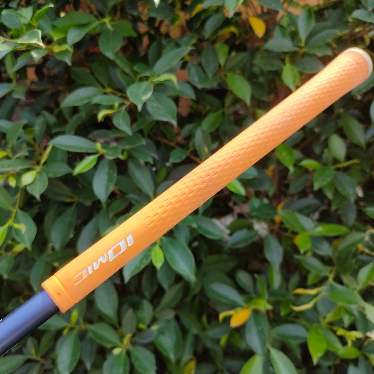 ** ไม้กอล์ฟสำหรับผู้หญิง ** เหล็ก 7 HONMA TWIN MARKS AP-301 MRS ก้าน ACCELERATE FORCE FLEX L