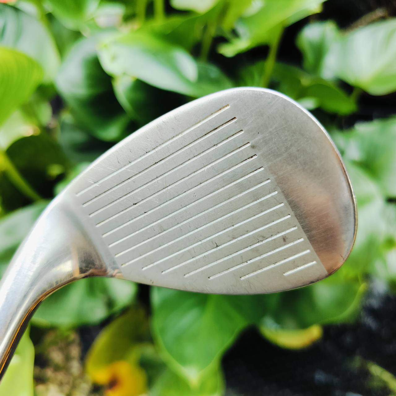 WEDGE GOLDEN BEAR องศา56 ก้านสำหรับ WEDGE โดยเฉพาะ ชิพง่ายๆ นุ่มๆ สปินดี เล่นสนุกเลยค่ะ ไม้กอล์ฟพรีเมี่ยมมือสอง ของแท้ By NakaraLuxurious