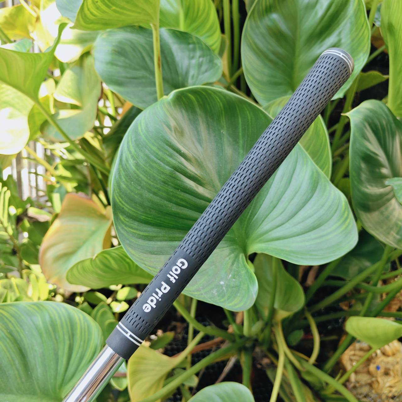 เหล็ก 11 HONMA TOUR WORLD TW737P ⛳ ก้าน NSPRO 850 FLEX R ของดีตีง่าย ฟีลนุ่ม สภาพสวย พร้อมออกรอบ!