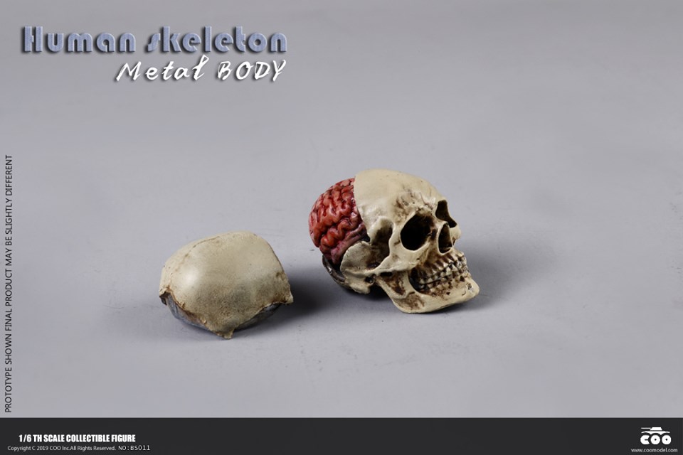 [สั่งจอง]COOMODEL NO.BS011 1/6 THE HUMAN SKELETON (DIECAST ALLOY)