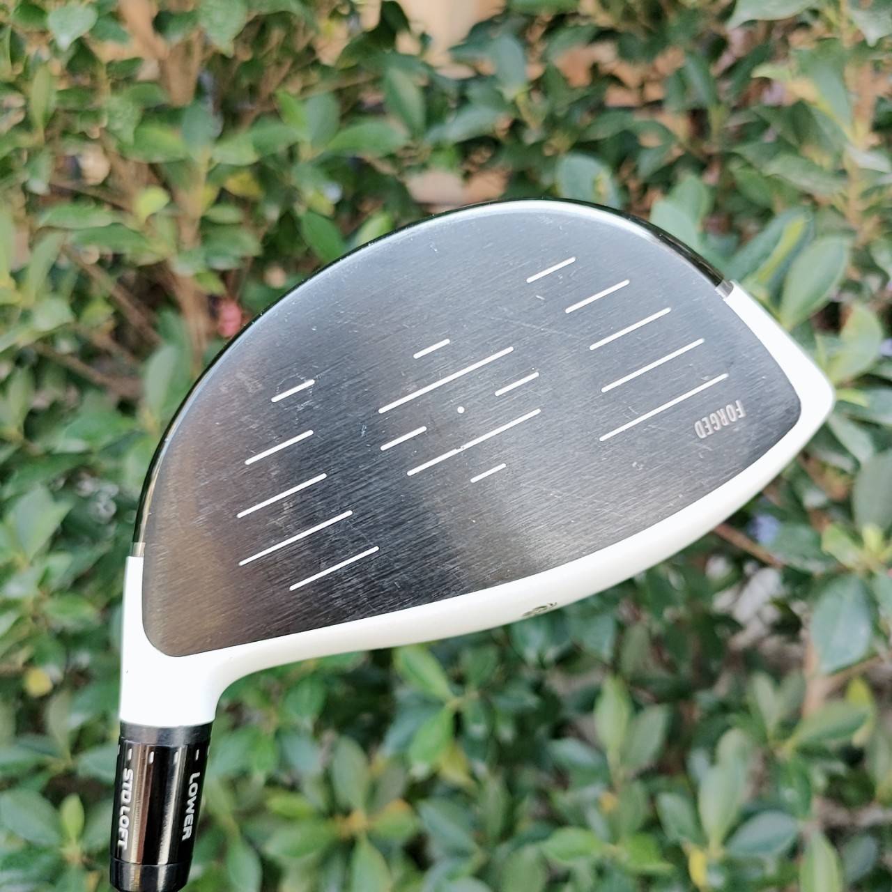 DRIVER TAYLORMADE GLOIRE SPEED POCKET องศา 10 ก้าน FUJIKURA SPEEDER 569 EVOLUTION II FLEX SR