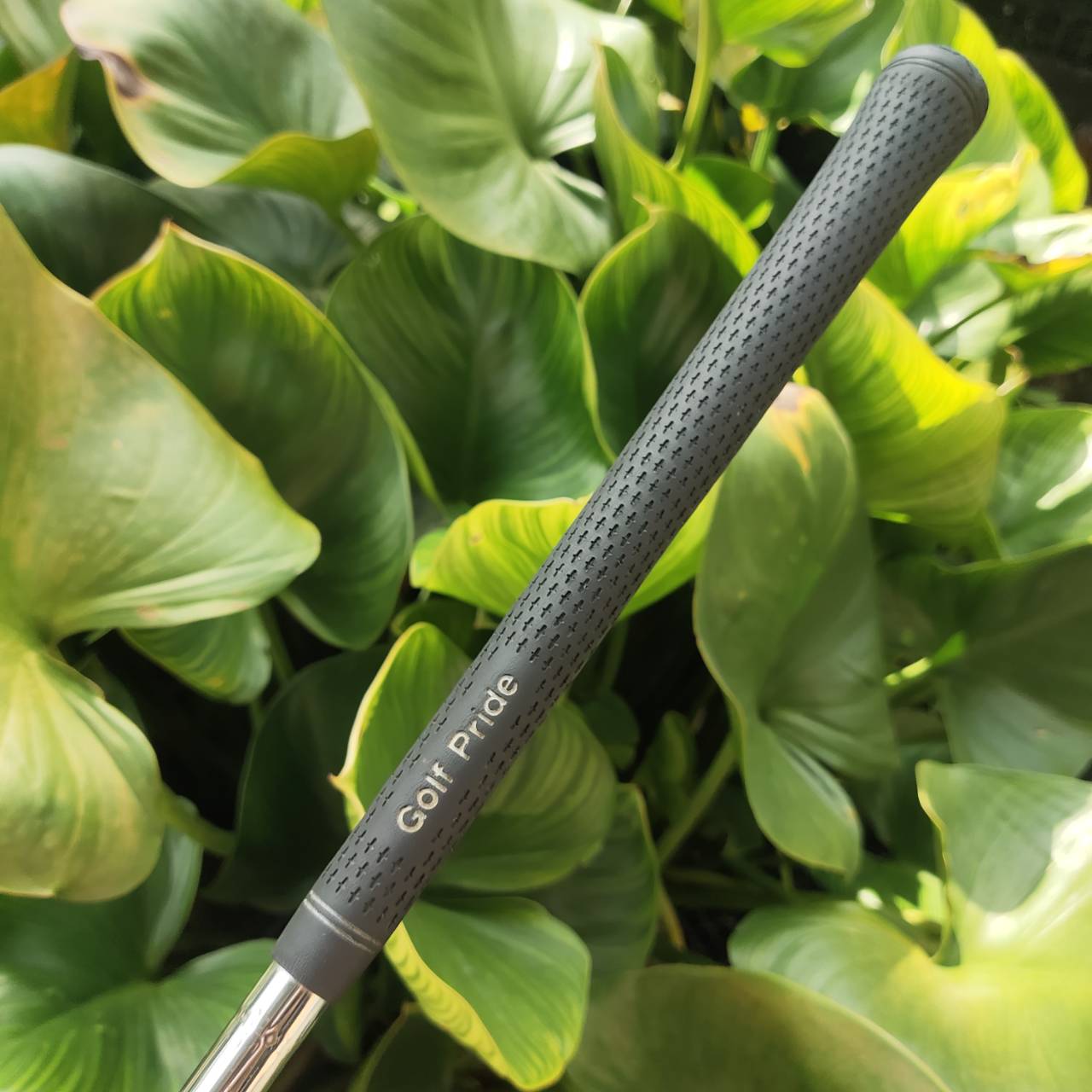 เหล็ก 3 WILSON DEEPRED TOUR เน้นไม้เหล็ก cavity-back ลูกง่าย และ forgiveness สูง