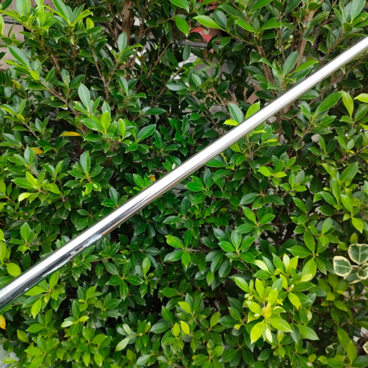 * ไม้กอล์ฟมือซ้าย * PUTTER YES! C-GROOVE รุ่น Marilyn ความยาว 33 นิ้ว พัตเตอร์รุ่นดัง ที่สุดแห่งความเกาะไลน์