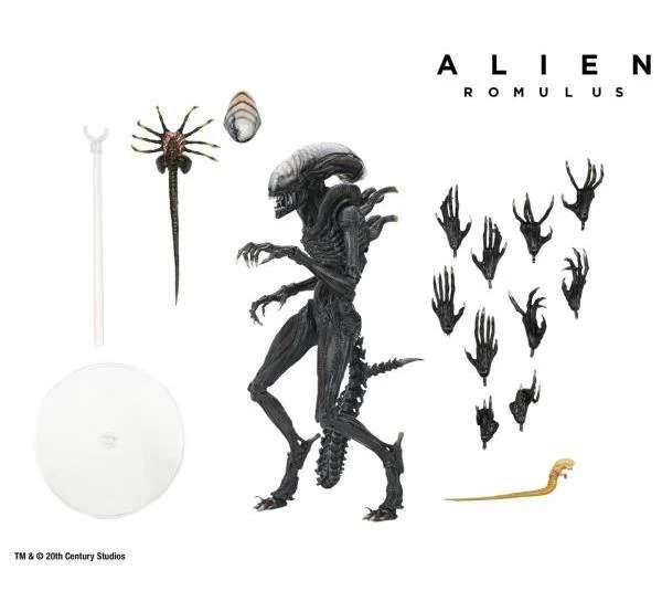 [สั่งจอง] Neca : Alien - Romulus