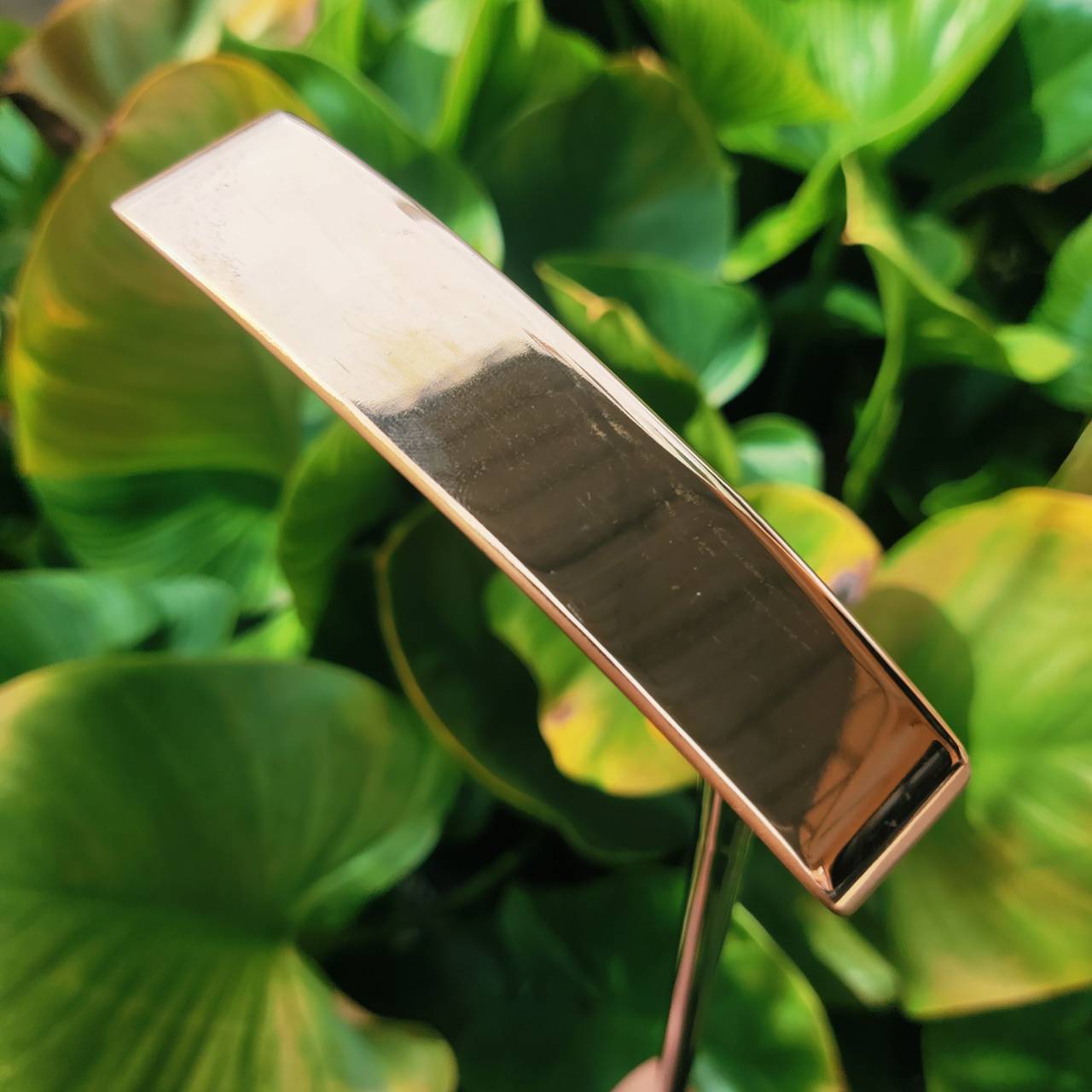 PUTTER PING ZING 2 – ทองแดงแท้ BECU (Beryllium Copper) ทั่วโลกต้องการ! ที่ญี่ปุ่นราคาทะลุหมื่น!