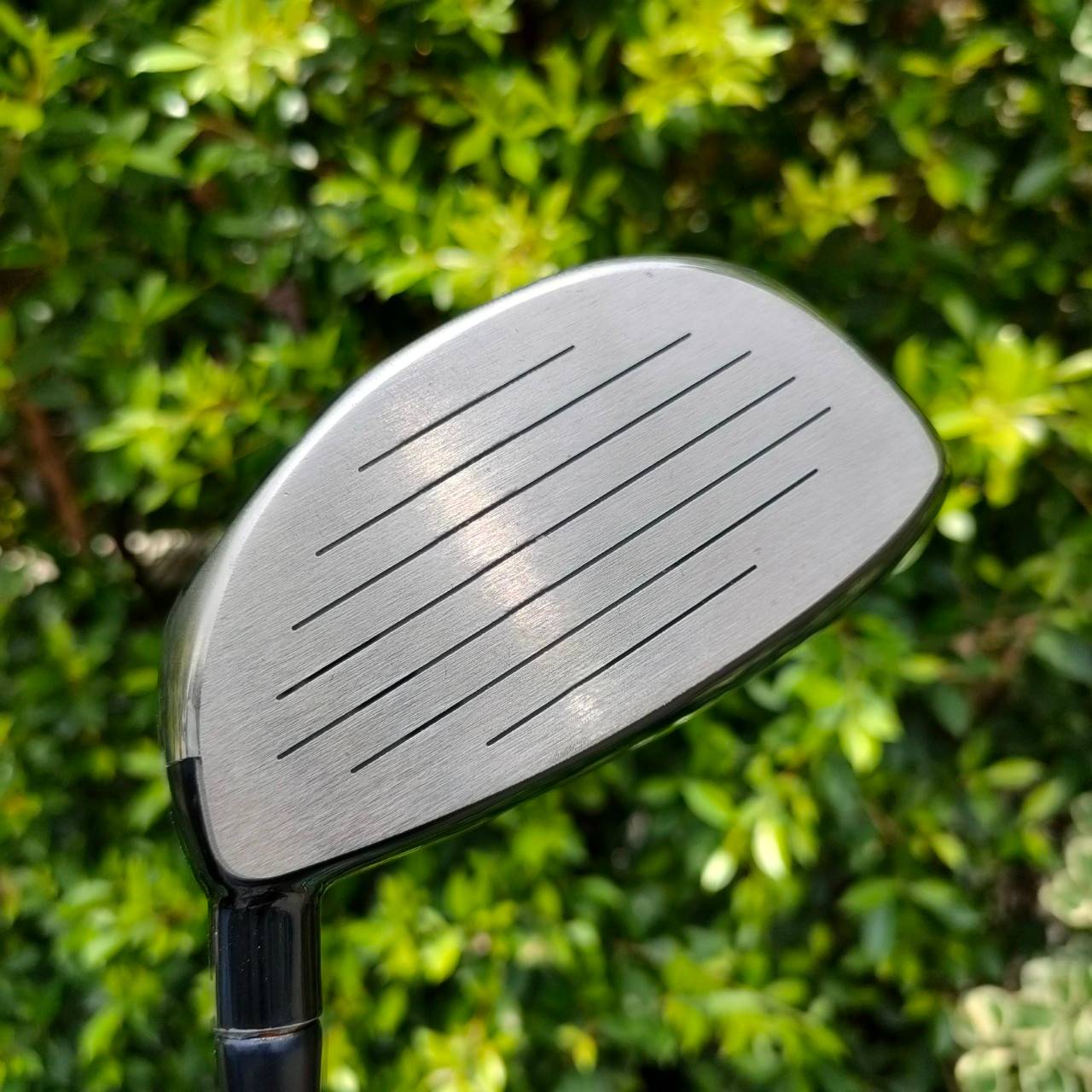 DRIVER FOURTEEN JC909 องศา 9 ก้าน MD-350LT FLEX S Driver HI-END ของญี่ปุ่น บอกได้เลยว่า FOURTEEN ใส่เต็ม วัสดุดีมากๆ เรียบหรูสไตล์ ZEN แต่ตีออกมาตกใจแน่นอน ไกลจัดๆ ของใหม่ออกมาแพงมากๆครับ ท๊อปสุดในรุ่น