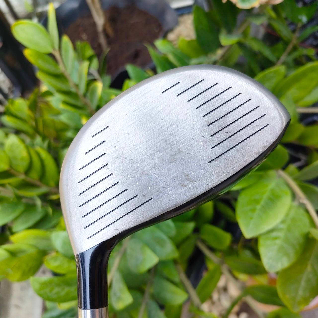 DRIVER NIKE SQ SUMO องศา 9.5 ก้าน DIAMANA SASQUATCH SUMO FLEX S ก้านดีมาก ตีไกล และที่สุดคัญตีง่ายมาก ไม้กอล์ฟพรีเมี่ยมมือสอง By NakaraLuxurious