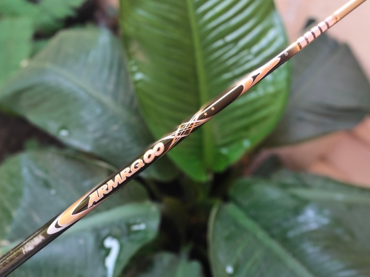 FW 3 HONMA BERES S-05