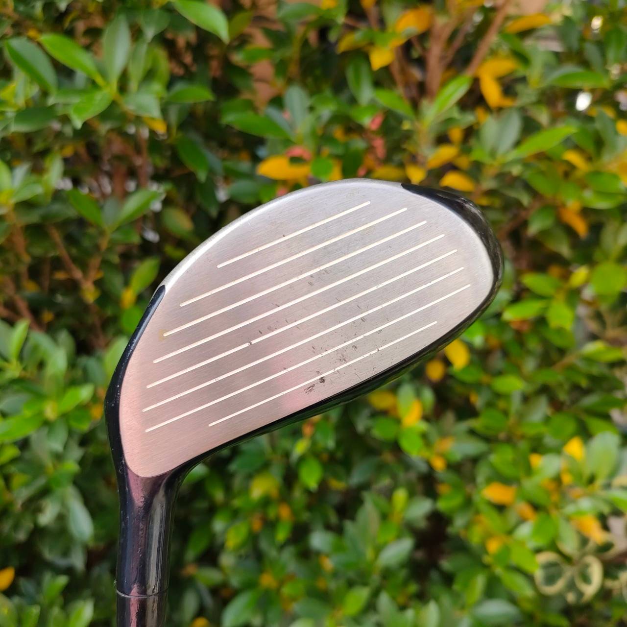 DRIVER BRIDGESTONE BIIM MS-320 ก้าน BIIM FC-50L FLEX R องศา 10.5
