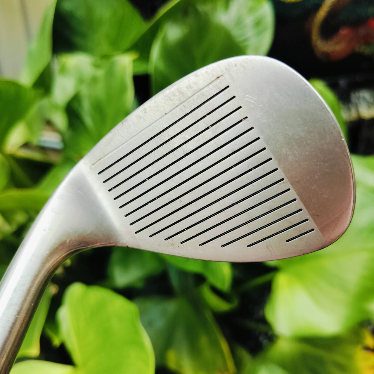 WEDGE INFINITY องศา 52 BOUNCE 8 ก้าน TITANIUM CARBON WEDGE FLEX สภาพสวยเดิม ชิพง่าย ฟีลลิ่งนุ่มนวล สปินดี ตกหยุด แม่นยำมากค่ะ ไม้กอล์ฟพรีเมี่ยมมือสอง ของแท้ By NakaraLuxurious