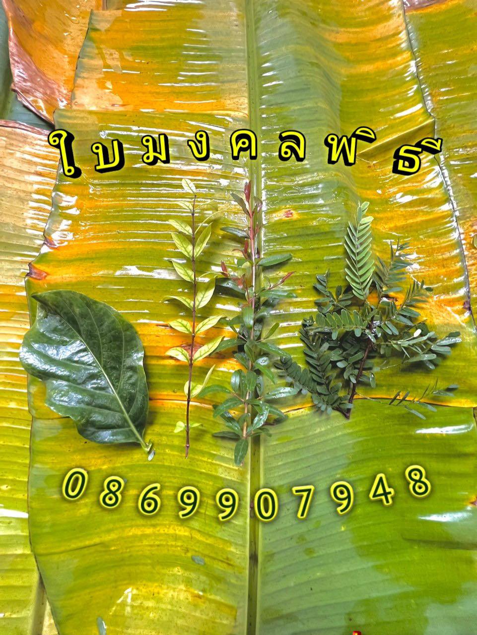 ใบไม้มงคล (พิธี)