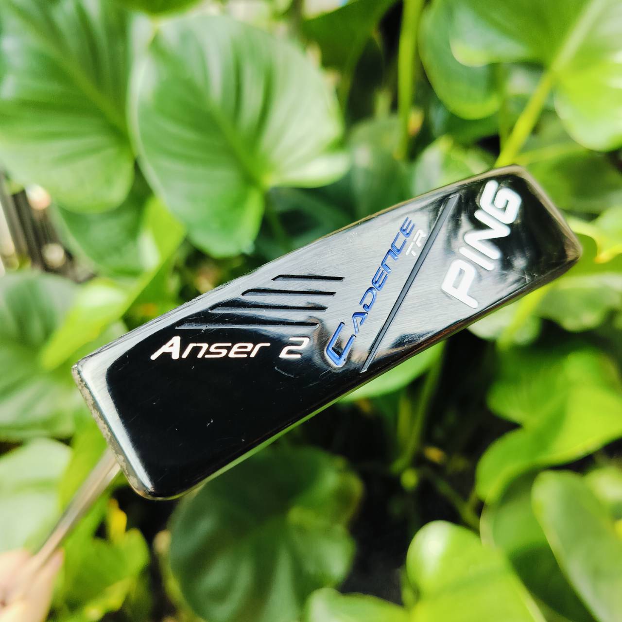 *** ไม้กอล์ฟมือซ้าย *** PUTTER PING ANSER2 CADENCE TR ความยาว 34 นิ้ว ตัวนี้เป็นตัวหน้าฟ้า BLUE : ALUMINIUM INSERT แผ่นหน้าอลุมิเนียมน้ำหนักเบา ให้ความรู้สึกที่นุ่มนวล ไม้กอล์ฟพรีเมี่ยมมือสอง ของแท้ By NakaraLuxurious