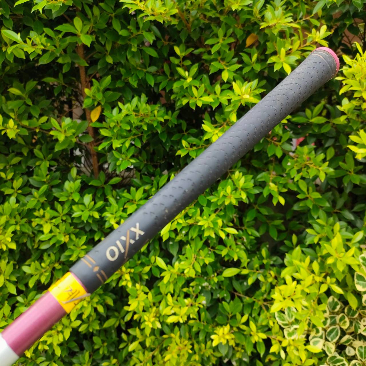 ** ไม้กอล์ฟสำหรับผู้หญิง ** DRIVER XXIO -PRIME- องศา 11.5 ก้าน ROYAL EDITION SP-900K FLEX L เป็นตัวพรีเมี่ยมกว่า XXIO9 ธรรมดา เป็นรุ่น 9 รุ่นใหม่และยอดนิยม ไม้กอล์ฟมือสอง ของแท้ BY NakaraLuxurious