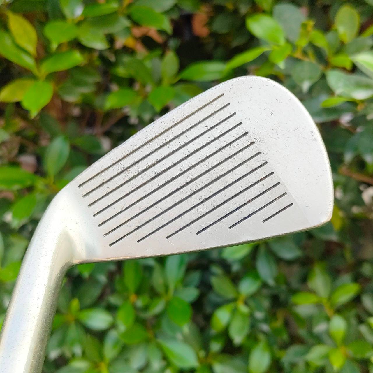 ชุดเหล็ก MIZUNO NOTUS SYNCHRO TURN 52 มีเหล็ก 3-9 เเละ PW