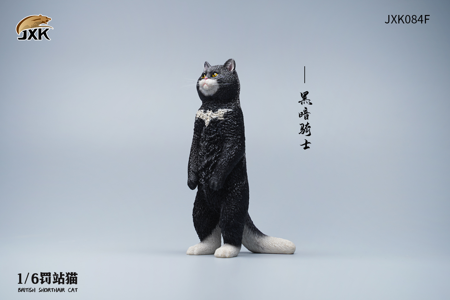 [สั่งจอง] JXK JXK084 1/6 : British Shorthair Cat