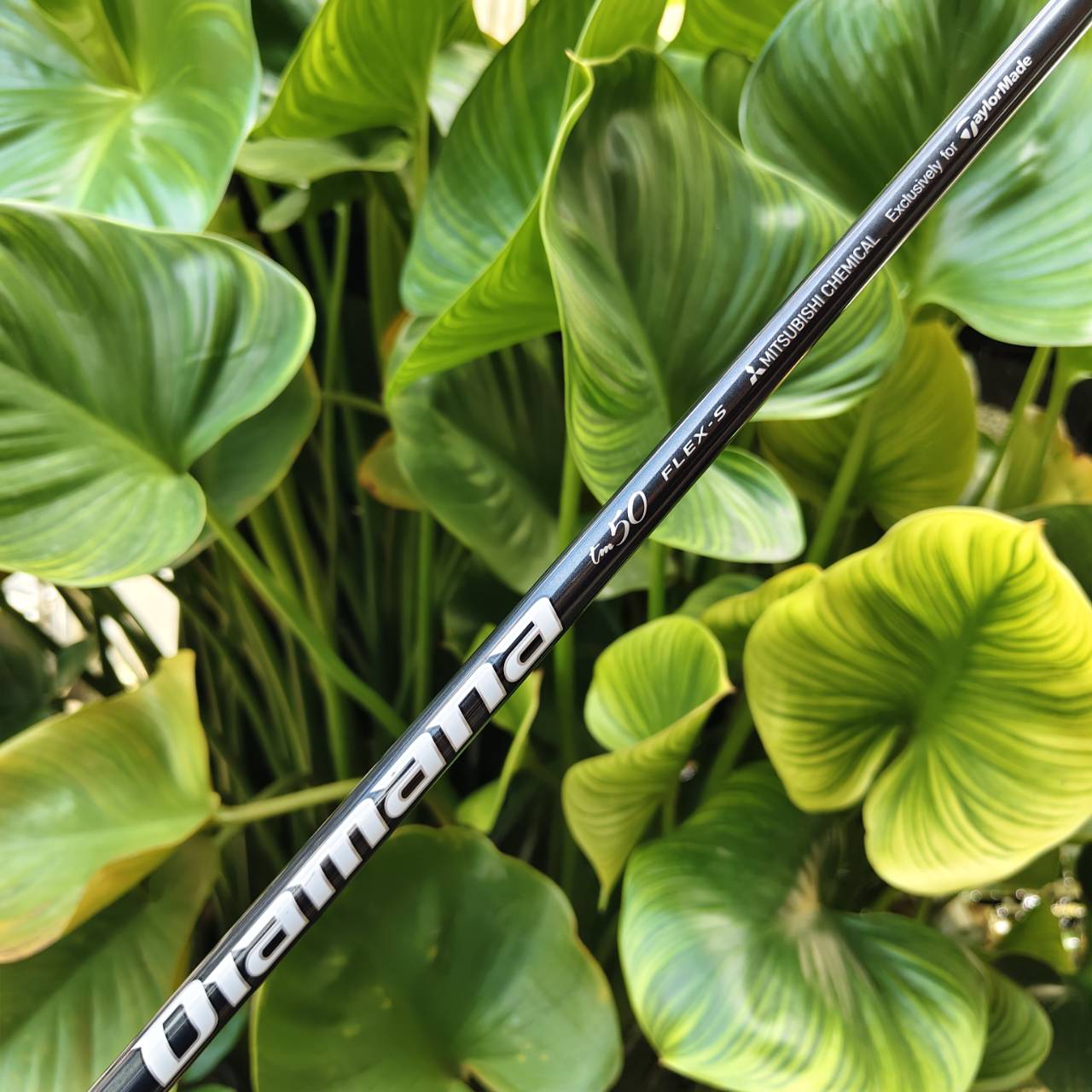 TAYLORMADE STEALTH 2 PLUS+ จุดเปลี่ยนของยุค Carbonwood™ ทั้ง Far และ Forgiveness ในหัวเดียว!