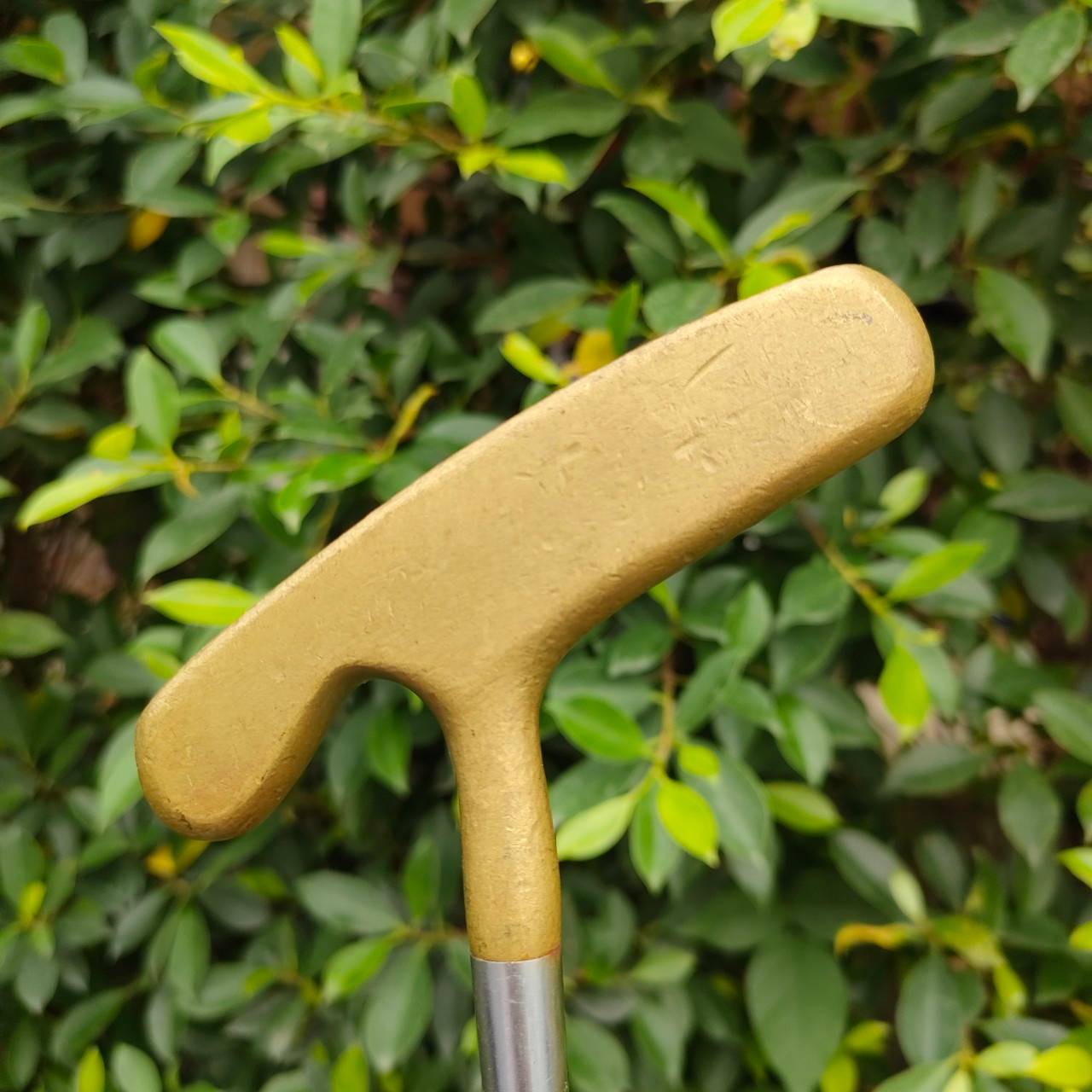 PUTTER ACUSHNAT ความยาว 35 นิ้ว ก้าน PREMIUM วัสดุทองเหลือง หาเก็บกันเยอะมาก