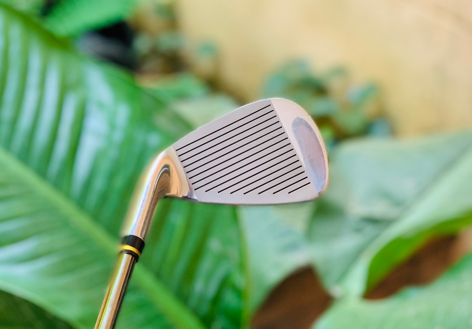 เหล็ก PW T-ZOOM FORGED Z UNDERCUT DESIGN