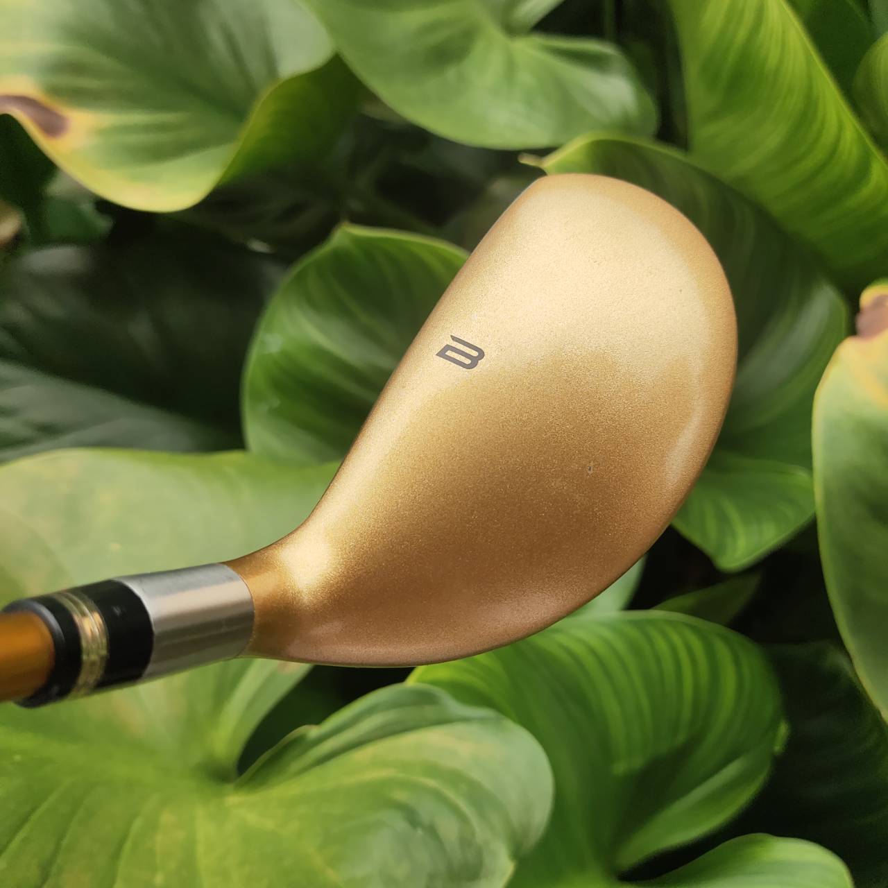 ก้าน 4 ดาว แพงมาก!!! ทอง 24K HONMA BERES U-813 4 Star ที่สุดของไม้พรีเมี่ยม JAPAN SAKATA