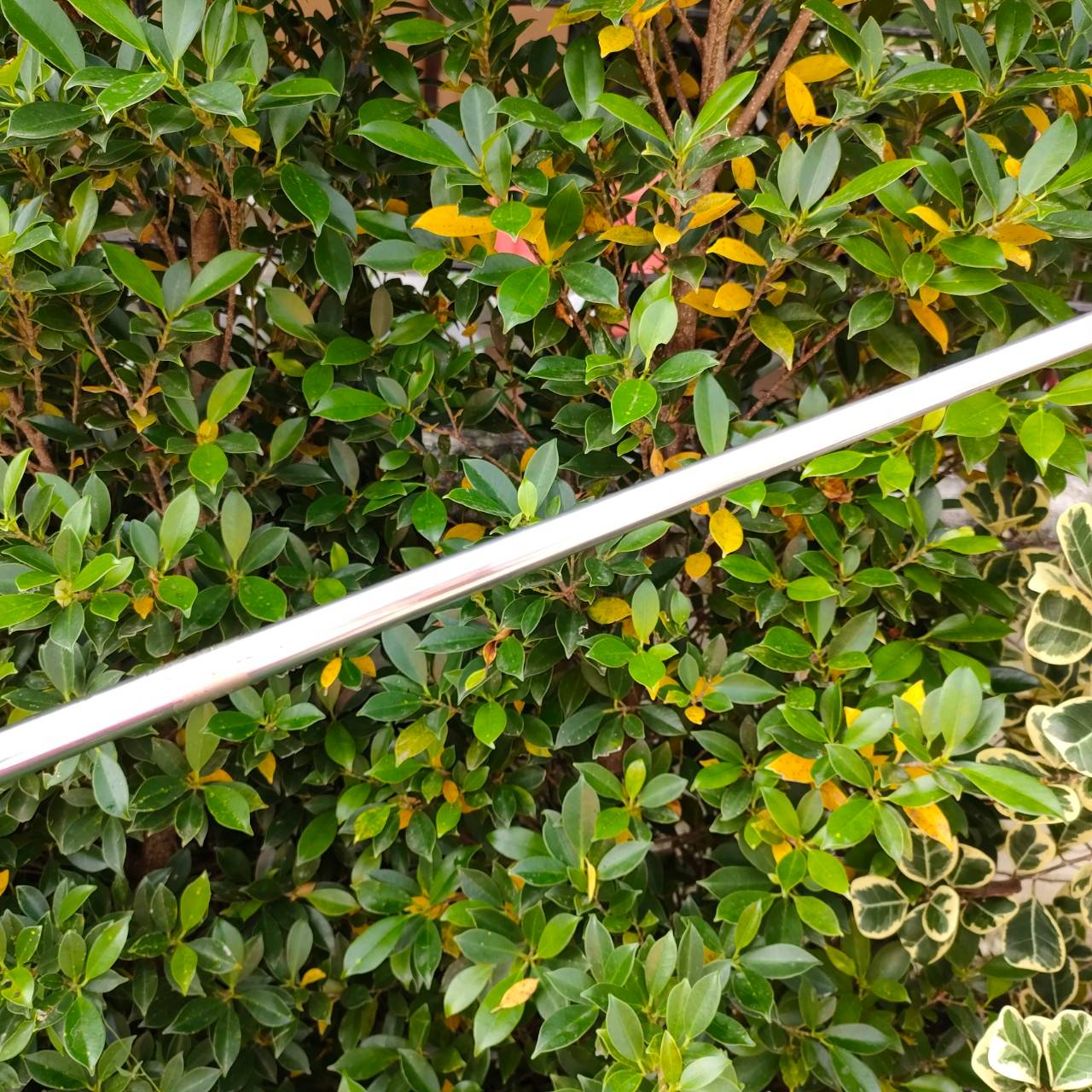 PUTTER BRIDGETONE REXTAR ความยาว 34 นิ้ว พัตต์ดีมาก MADE IN JAPAN