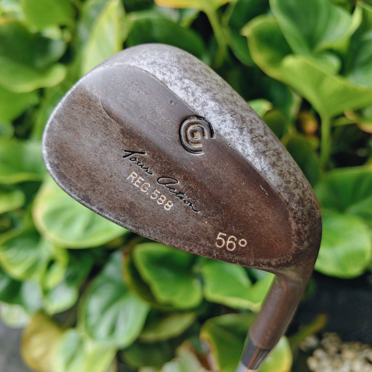 Cleveland REG588 Wedge 56° – รุ่นสนิมสุดคลาสสิก
