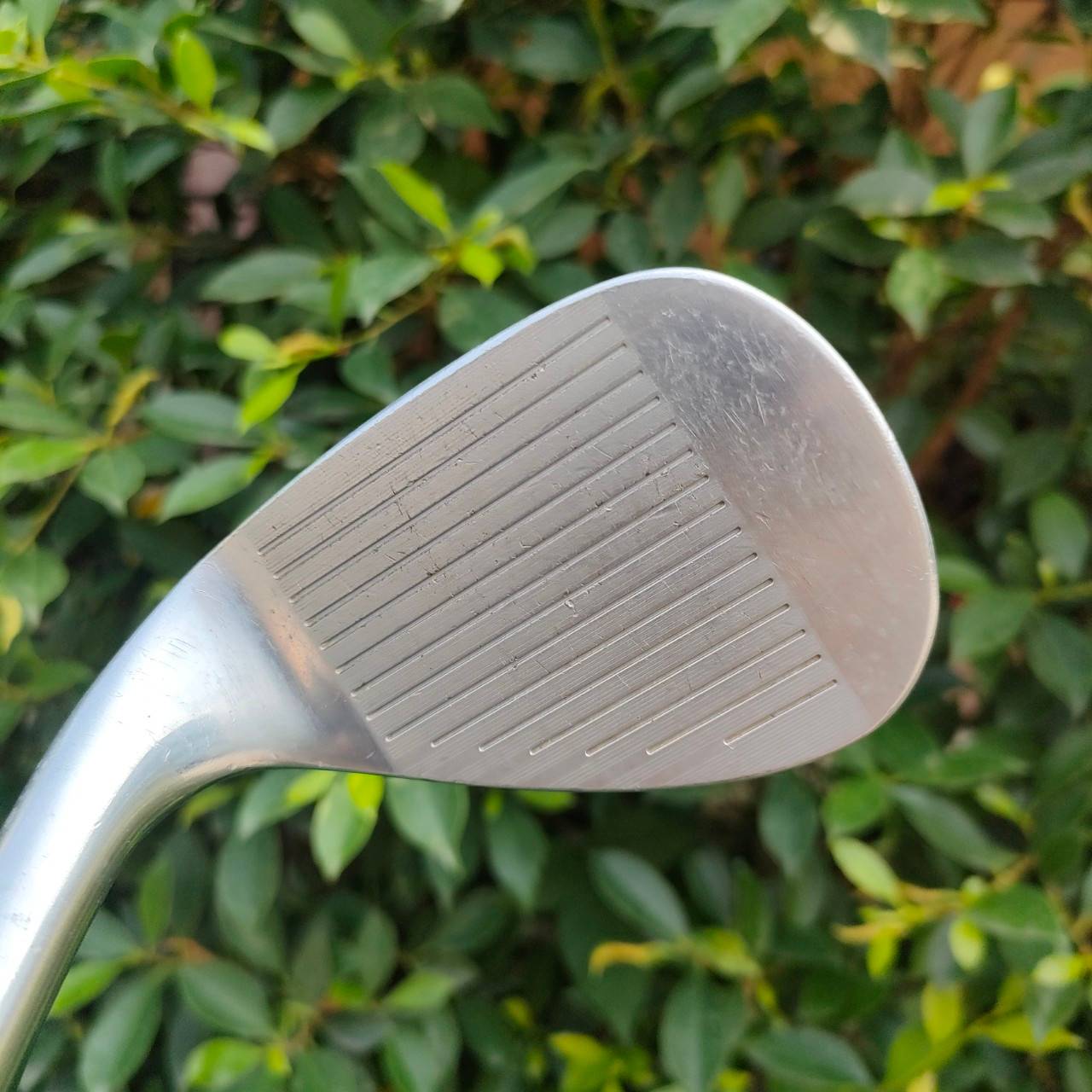 WEDGE BRIDGESTONE TOURB FORGED องศา 56 BOUNCE 14 หน้าสัมผัสเลเซอร์