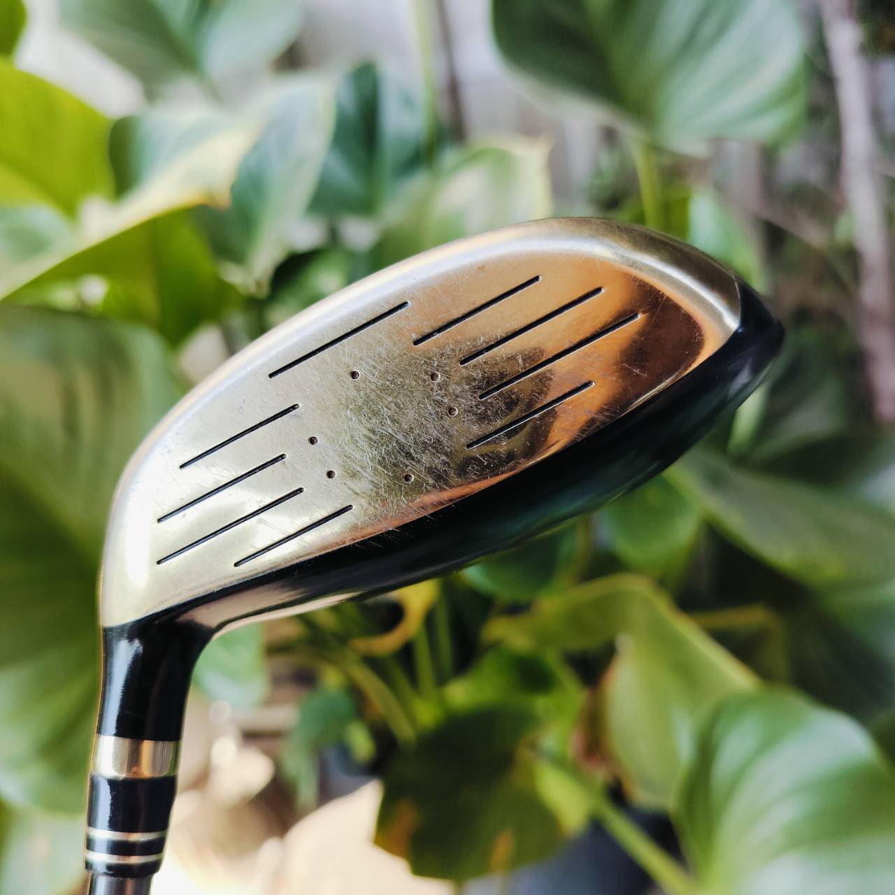 FW5 CROWN HISKEI LG350 เป็นสุดยอดหัวไม้พรีเมี่ยมญี่ปุ่น หน้าเด้งวัสดุ MARAGING ดีมากๆ ไม้กอล์ฟพรีเมี่ยมมือสอง ของแท้ By NakaraLuxurious