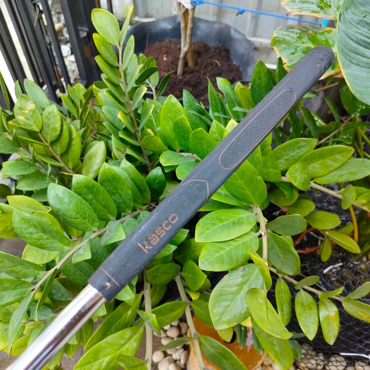 PUTTER KASCO INDEED EXTREME PERFORMANCE GOLF ความยาว 34 นิ้ว พัตเตอร์พรีเมี่ยมญี่ปุ่น ไม้กอล์ฟพรีเมี่ยมมือสอง By NakaraLuxurious