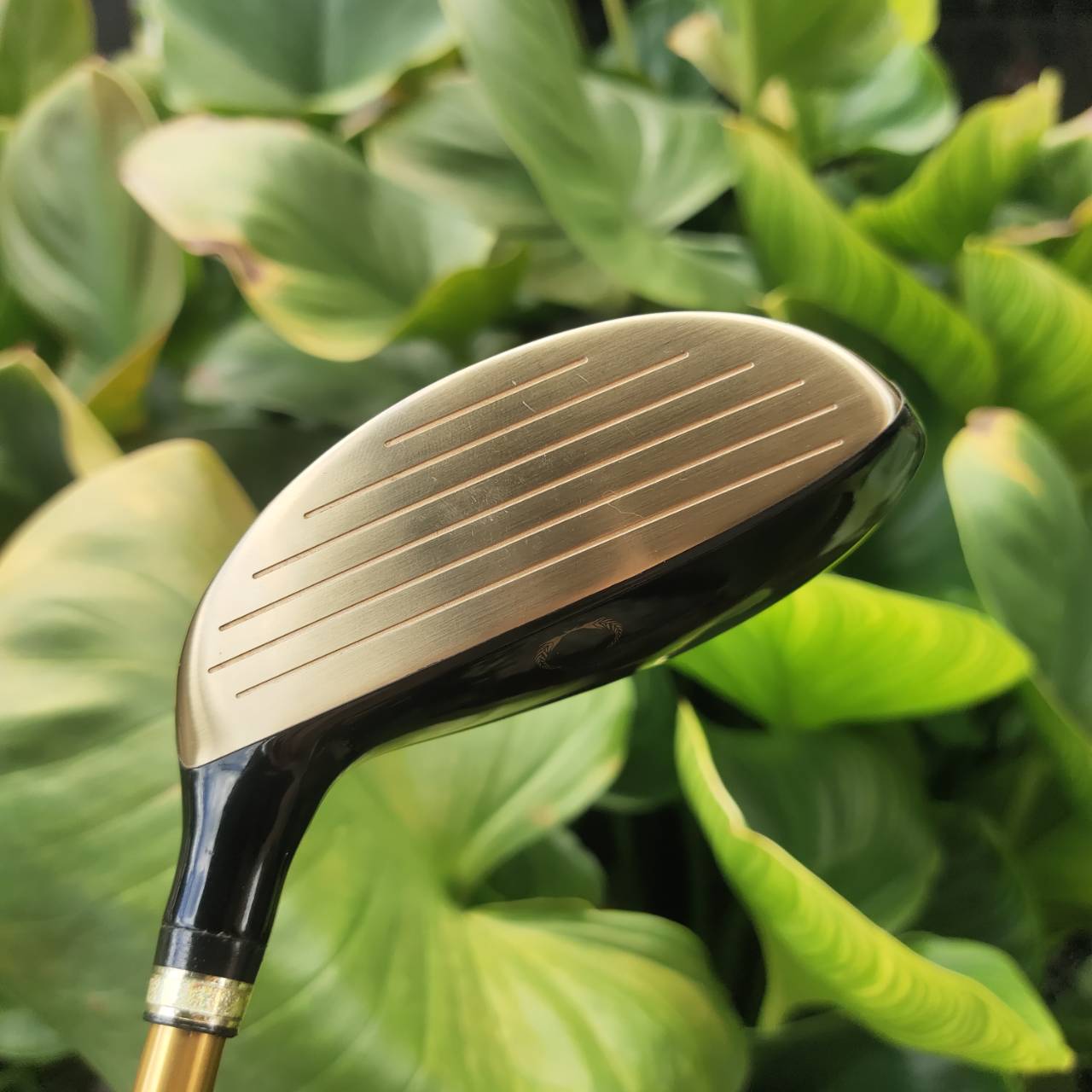 U5 KASCO INDEED EX องศา 22 หน้าเด้ง!!! ใช้วัสดุ Maraging Steel พรีเมี่ยมญี่ปุ่น Hi-END