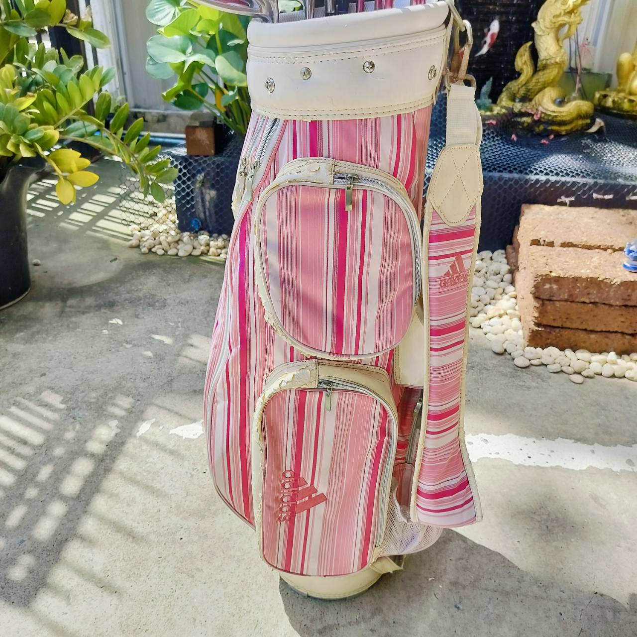 *** ไม้กอล์ฟผู้หญิงครบชุด *** ถุงกอล์ฟ ADIDAS มีลอกเยอะ *** ไม่มีเหล็ก 6 *** FULLSET KASCO DIMPLAS EL LADY ชุดไม้กอล์ฟครบเซ็ตยอดนิยมสูงสุด แบรนด์ญี่ปุ่น หัวไม้ได้ถึง 4 หัว หน้าเด้งตีไกล ไม้กอล์ฟพรีเมี่ยมมือสอง ของแท้ By NakaraLuxurious