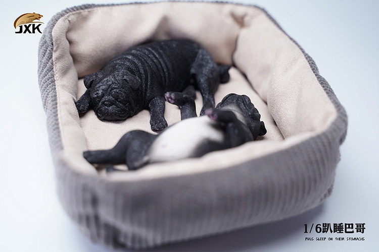 [สั่งจอง] JXK JXK085 1/6 : Pugs Sleep On Their Stomach