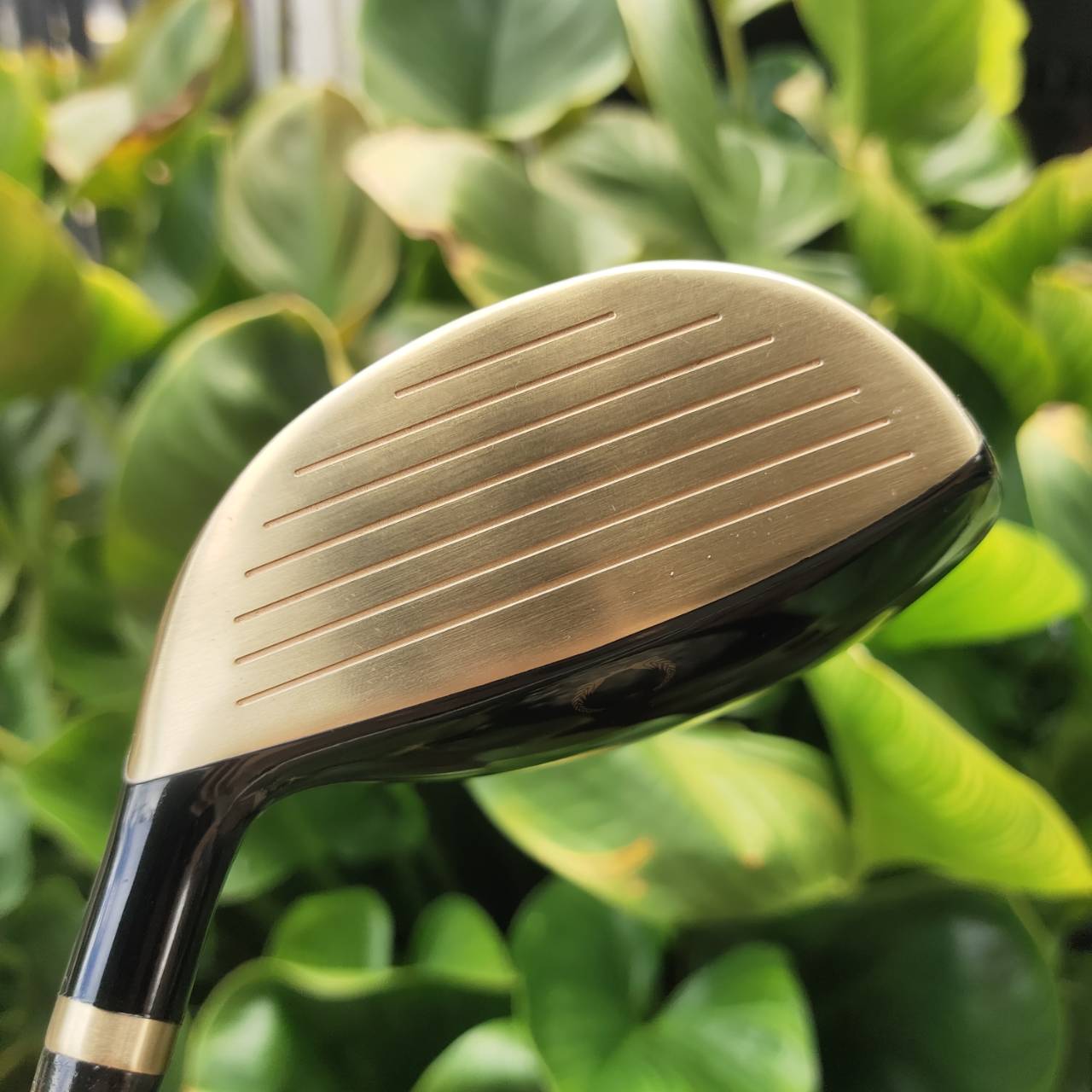 FW5 KASCO INDEED EX องศา 19 หน้าเด้ง!!! ใช้วัสดุ Maraging Steel พรีเมี่ยมญี่ปุ่น Hi-END