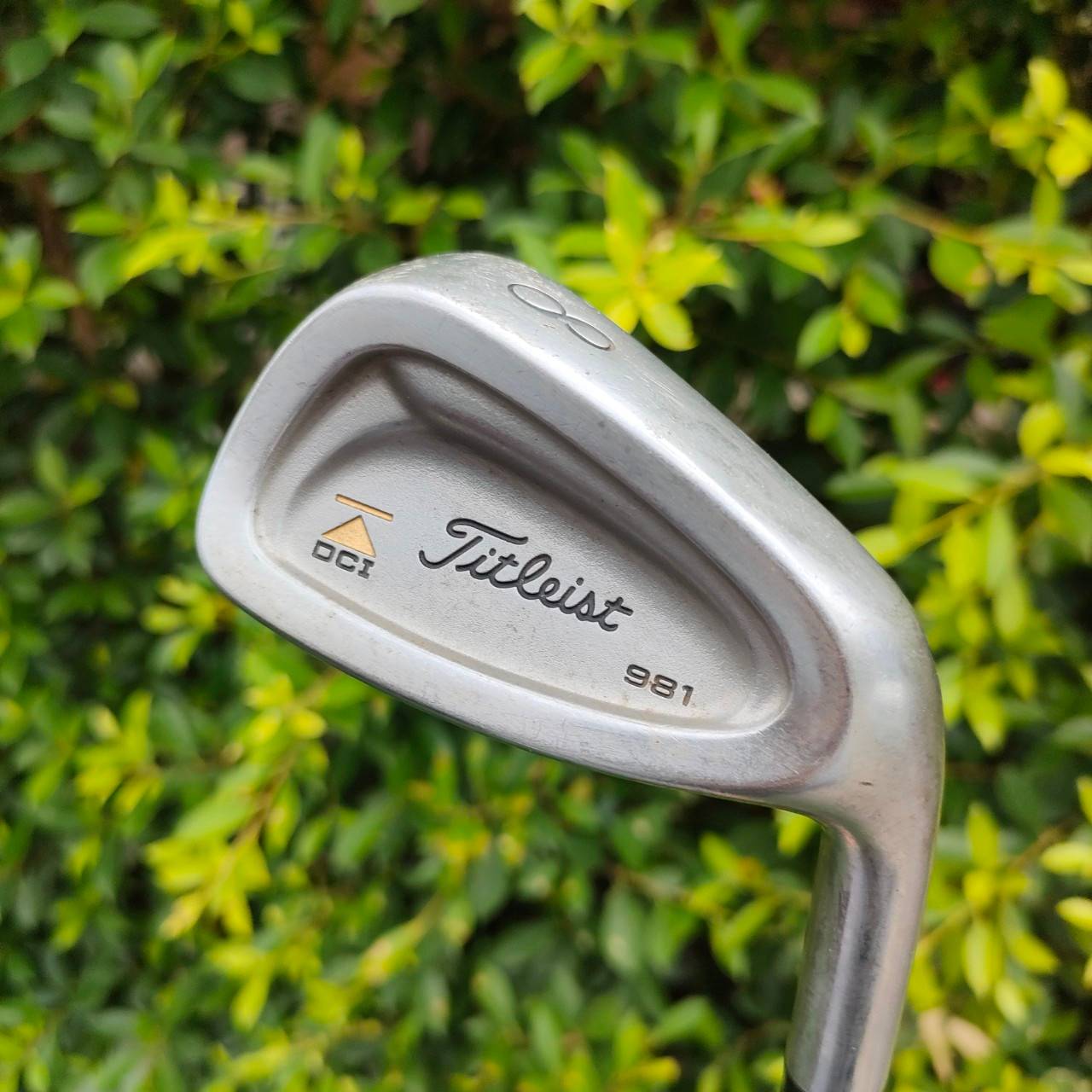 เหล็ก 8 TITLEIST DCI 981 ก้าน PRECISION FCM 5.5 ก้านดีมากๆ แม่นยำ มั่นคง
