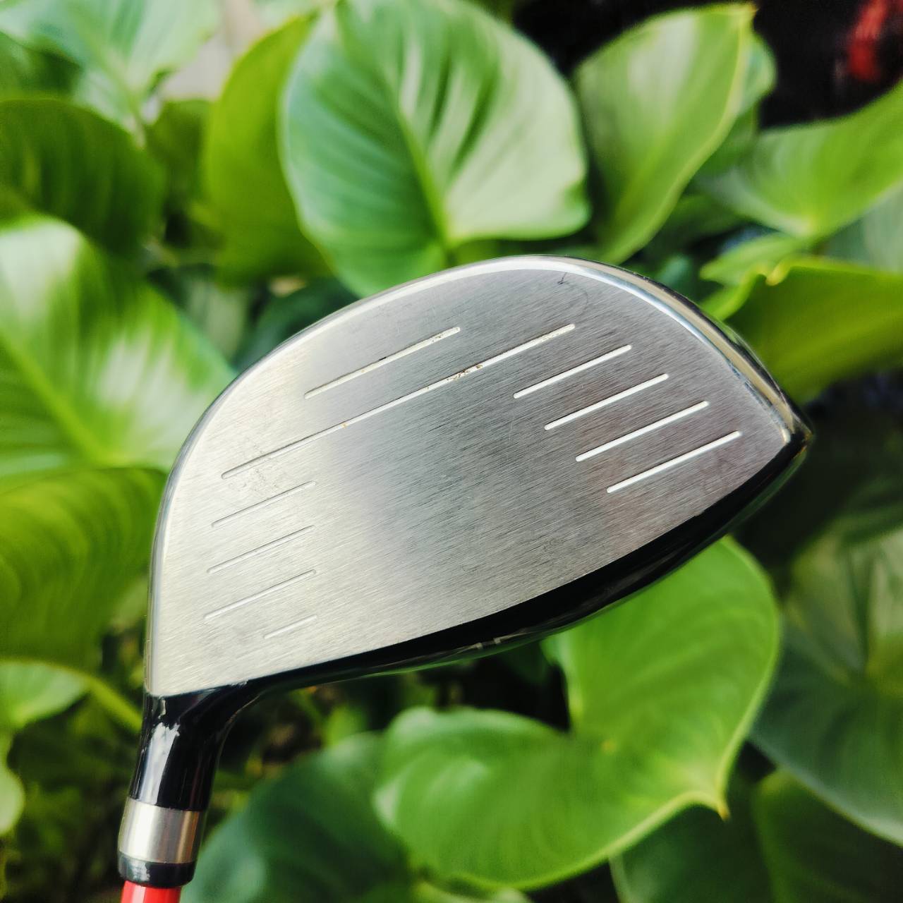 ***ไม้กอล์ฟเด็ก*** Driver PING MOXIE มี COVER แท้ ก้าน PING ความยาว 35 นิ้ว หัวใหญ่ 370 CC. เทียบกับขนาด เป็นหัวไม้ที่ใหญ่มาก ตีง่าย เสียงเพราะ วัสดุ BETA TITANIUM เหมือนของผู้ใหญ่ ไม้กอล์ฟพรีเมี่ยมมือสอง ของแท้ By NakaraLuxurious