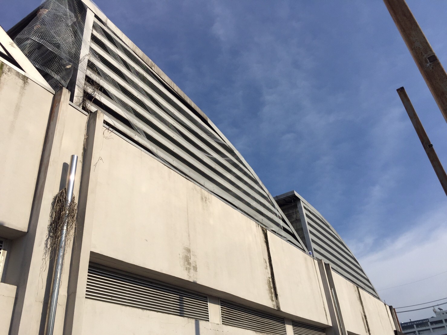 งานติดตาข่ายกันนก ตึกกายวิทยาทาน มหาวิทยาลัยมหิดล