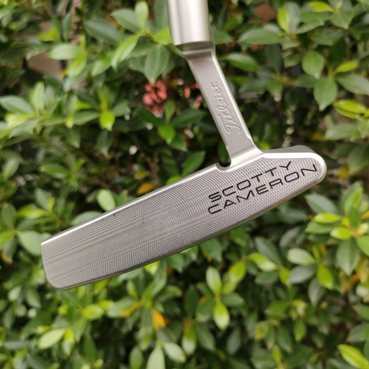 PUTTER TITLELIST SCOTTY CAMEROM SPECIAL SELECT SQUAREBACK 2 ก้าน SPECIAL SELECT ความยาว 34 นิ้ว กริพ EVNROLL ลงตัวมาก COVER เดิมสวย สภาพสวยมาก