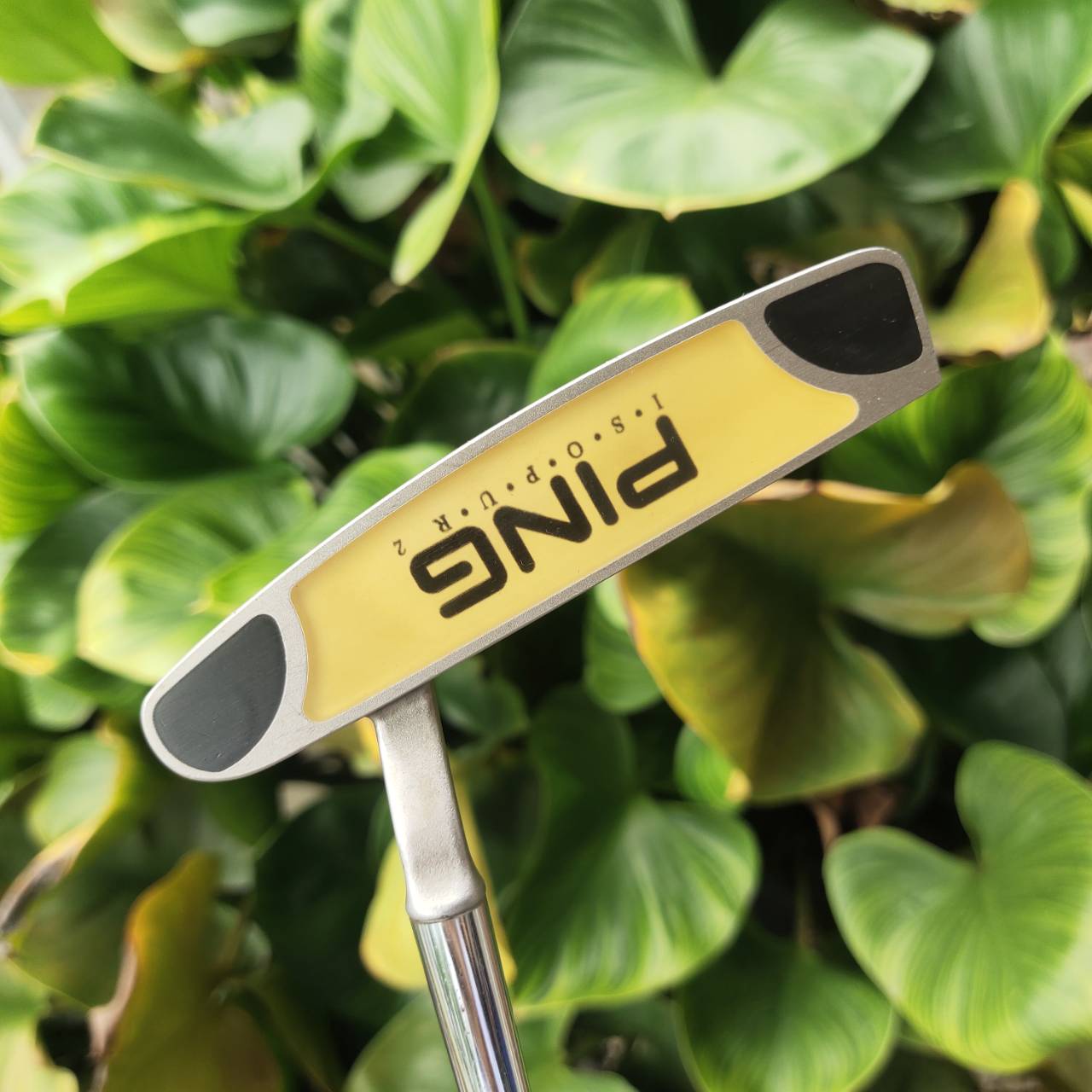 PUTTER PING i-Series iSO PUR 2 บล๊านซ์มากและหน้าสัมผัสช่วยให้ฟีลลิ่งนุ่มกว่าเดิม