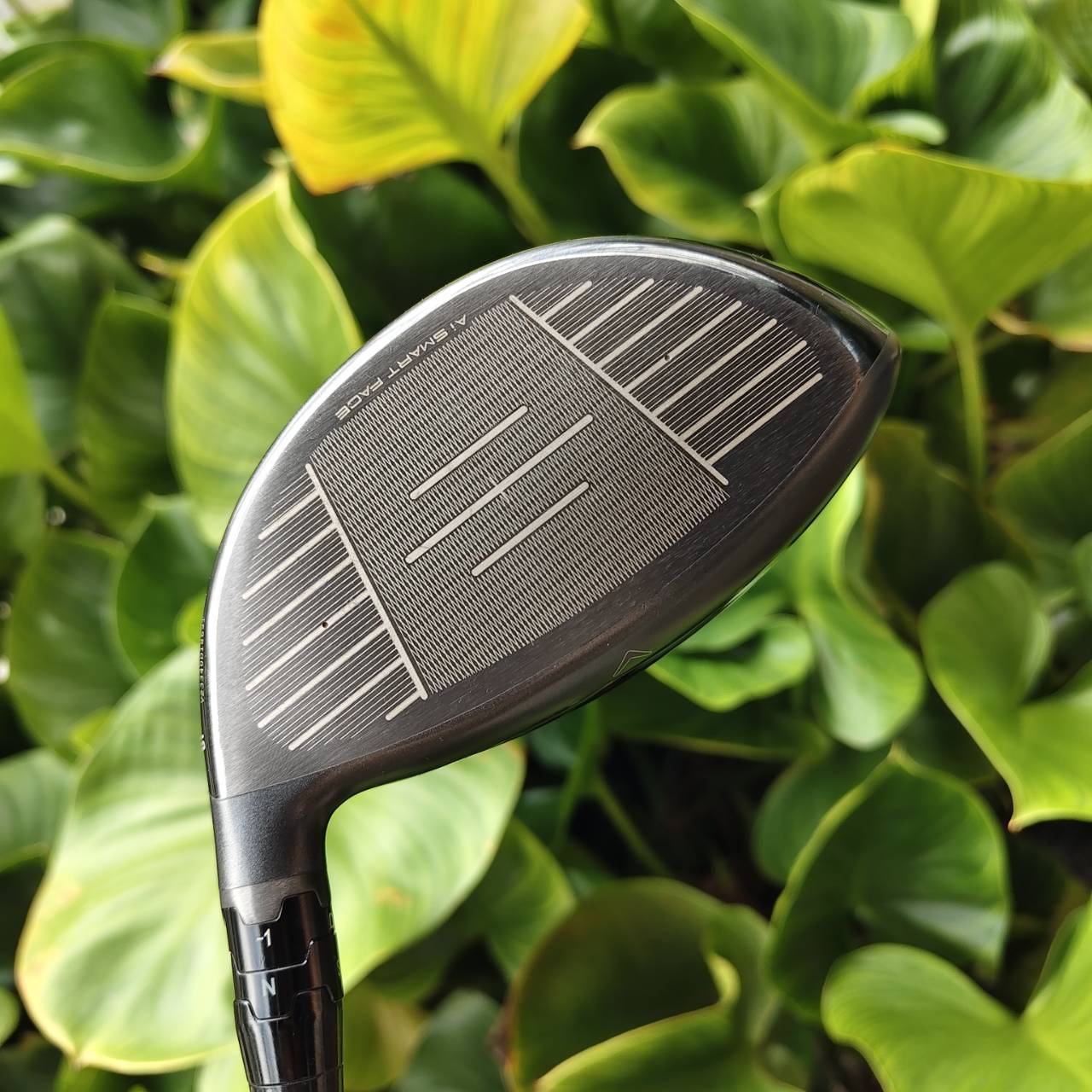 Callaway Paradym Ai Smoke MAX D -- Ai Smart Face วิเคราะห์และออกแบบจากวงสวิงจริง หน้าไม้เสถียรตลอด