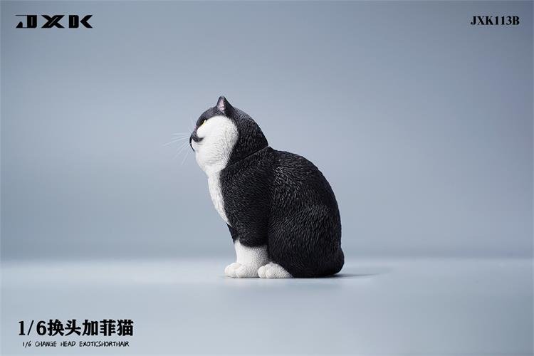 [สั่งจอง]JXK JXK113 1/6 : Change Head Exoticshorthair