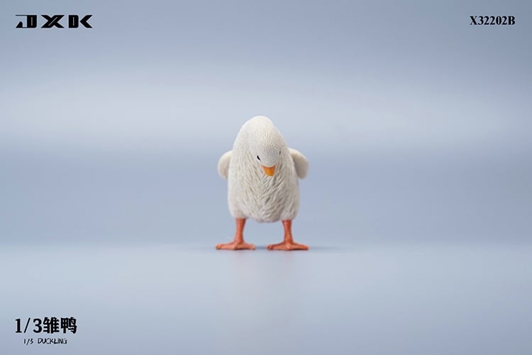 [สั่งจอง]JXK : Scottish Fold/Chckling/Duckling