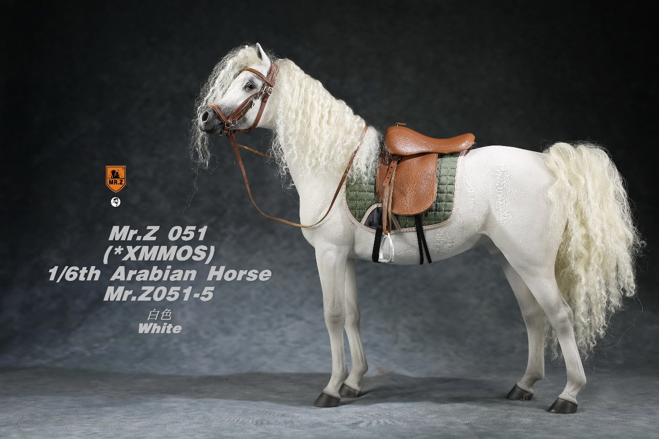[สั่งจอง]Mr.Z MRZ051 1/6 animal model : Arabian Horse