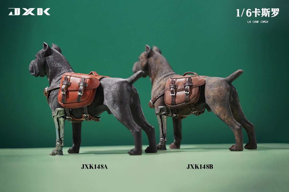 [สั่งจอง]JXK JXK148 1/6 Cane Corso
